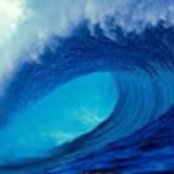 Meet your Posher, Jed - Picture 1 of 1